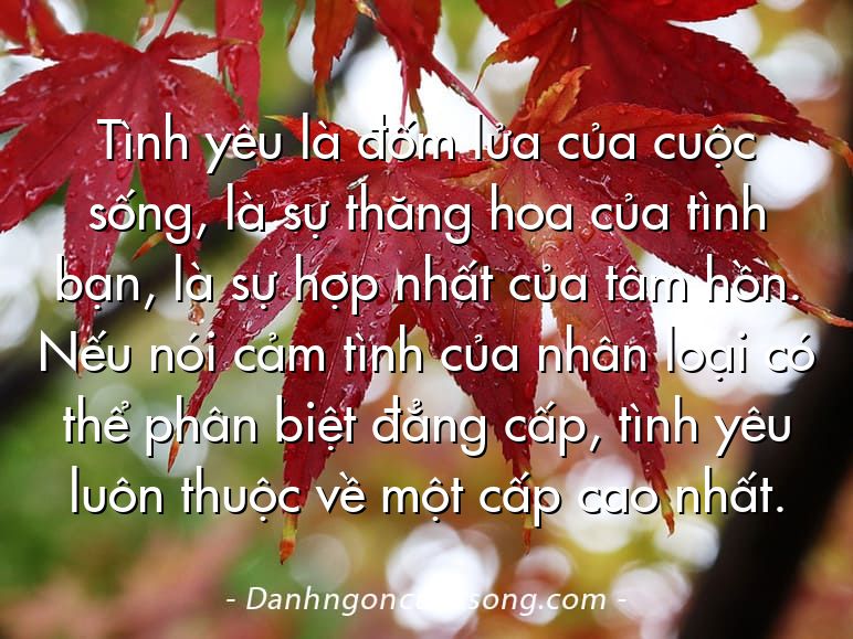 Tình yêu là đốm lửa của cuộc sống, là sự thăng hoa của tình bạn, là sự hợp nhất của tâm hồn. Nếu nói cảm tình của nhân loại có thể phân biệt đẳng cấp, tình yêu luôn thuộc về một cấp cao nhất.