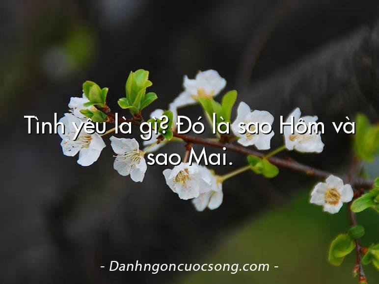 Tình yêu là gì? Đó là sao Hôm và sao Mai.