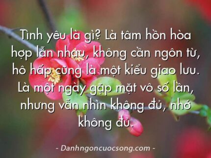Tình yêu là gì? Là tâm hồn hòa hợp lẫn nhau, không cần ngôn từ, hô hấp cũng là một kiểu giao lưu. Là một ngày gặp mặt vô số lần, nhưng vẫn nhìn không đủ, nhớ không đủ.