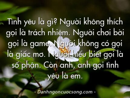Tình yêu là gì? Người không thích gọi là trách nhiệm. Người chơi bời gọi là game. Người không có gọi là giấc mơ. Người hiểu biết gọi là số phận. Còn anh, anh gọi tình yêu là em.