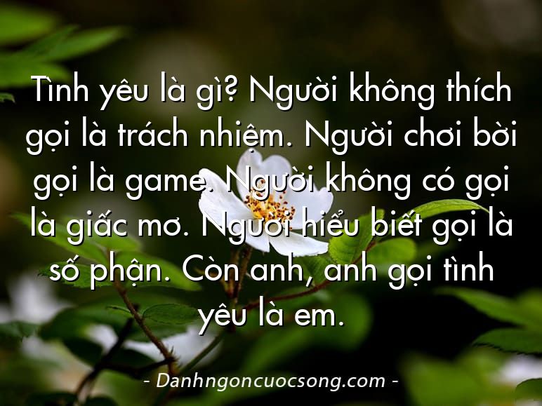 Tình yêu là gì? Người không thích gọi là trách nhiệm. Người chơi bời gọi là game. Người không có gọi là giấc mơ. Người hiểu biết gọi là số phận. Còn anh, anh gọi tình yêu là em.