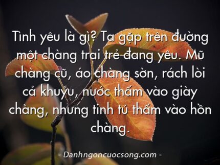 Tình yêu là gì? Ta gặp trên đường một chàng trai trẻ đang yêu. Mũ chàng cũ, áo chàng sờn, rách lòi cả khuỷu, nước thấm vào giày chàng, nhưng tinh tú thấm vào hồn chàng.