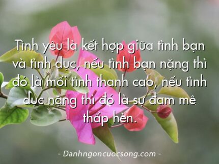 Tình yêu là kết hợp giữa tình bạn và tình dục, nếu tình bạn nặng thì đó là mối tình thanh cao, nếu tình dục nặng thì đó là sự đam mê thấp hèn.