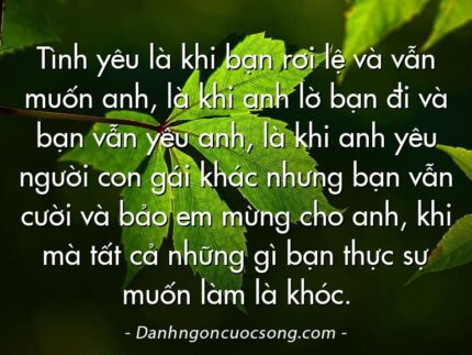 Tình yêu là khi bạn rơi lệ và vẫn muốn anh, là khi anh lờ bạn đi và bạn vẫn yêu anh, là khi anh yêu người con gái khác nhưng bạn vẫn cười và bảo em mừng cho anh, khi mà tất cả những gì bạn thực sự muốn làm là khóc.