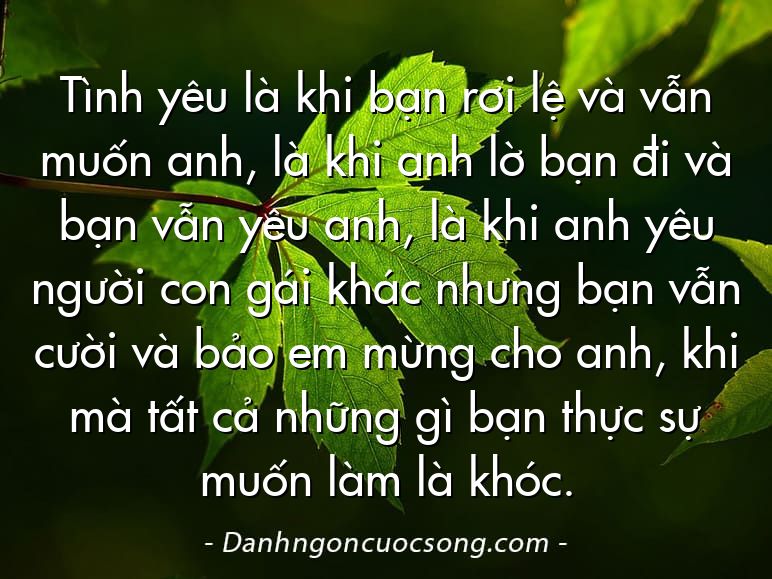 Tình yêu là khi bạn rơi lệ và vẫn muốn anh, là khi anh lờ bạn đi và bạn vẫn yêu anh, là khi anh yêu người con gái khác nhưng bạn vẫn cười và bảo em mừng cho anh, khi mà tất cả những gì bạn thực sự muốn làm là khóc.