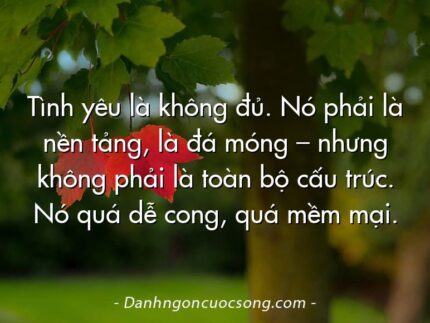Tình yêu là không đủ. Nó phải là nền tảng, là đá móng – nhưng không phải là toàn bộ cấu trúc. Nó quá dễ cong, quá mềm mại.