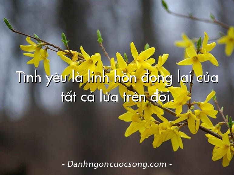 Tình yêu là linh hồn đọng lại của tất cả lửa trên đời.