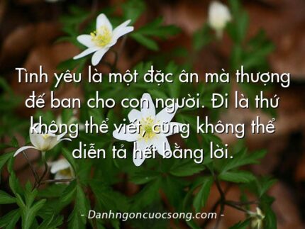 Tình yêu là một đặc ân mà thượng đế ban cho con người. Đi là thứ không thể viết, cũng không thể diễn tả hết bằng lời.