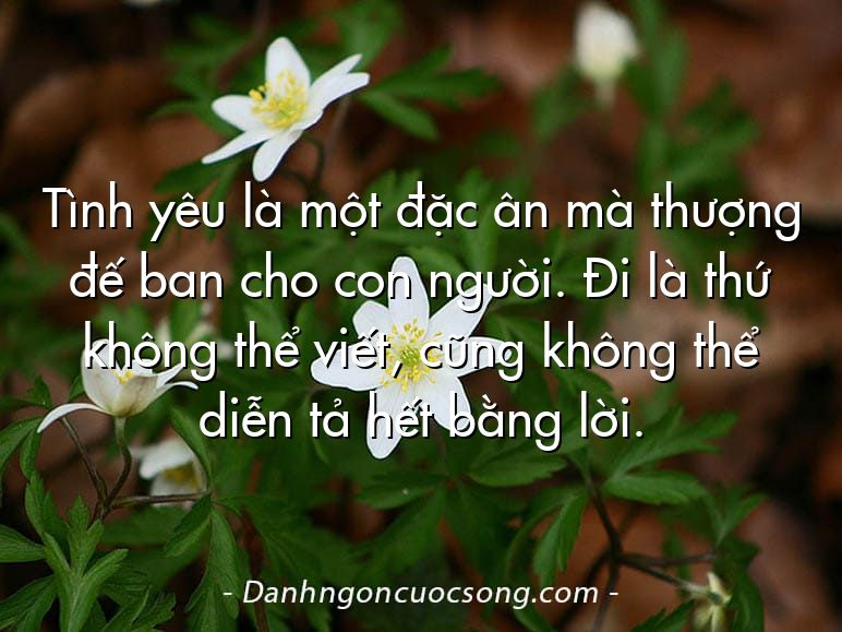 Tình yêu là một đặc ân mà thượng đế ban cho con người. Đi là thứ không thể viết, cũng không thể diễn tả hết bằng lời.