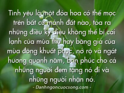 Tình yêu là một đóa hoa có thể mọc trên bất cứ mảnh đất nào, tỏa ra những điều kỳ diệu không thể bị cái lạnh của mùa thu hay băng giá của mùa đông khuất phục, nở rộ và ngát hương quanh năm, ban phúc cho cả những người đem tặng nó đi và những người nhận nó.