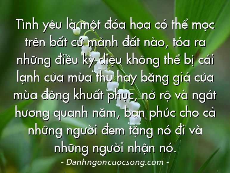 Tình yêu là một đóa hoa có thể mọc trên bất cứ mảnh đất nào, tỏa ra những điều kỳ diệu không thể bị cái lạnh của mùa thu hay băng giá của mùa đông khuất phục, nở rộ và ngát hương quanh năm, ban phúc cho cả những người đem tặng nó đi và những người nhận nó.