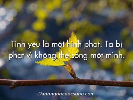 Tình yêu là một hình phạt. Ta bị phạt vì không thể sống một mình.