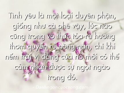 Tình yêu là một loại duyên phận, giống như cà phê vậy, lúc nào cũng trong vô thức tỏa ra hương thơm quyến rũ nồng nàn, chỉ khi nếm trải vị đắng của nó mới có thể cảm nhận được sự ngọt ngào trong đó.