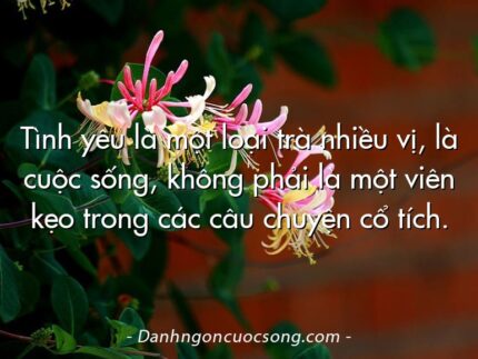 Tình yêu là một loại trà nhiều vị, là cuộc sống, không phải là một viên kẹo trong các câu chuyện cổ tích.