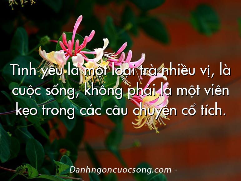Tình yêu là một loại trà nhiều vị, là cuộc sống, không phải là một viên kẹo trong các câu chuyện cổ tích.