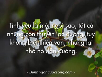 Tình yêu là một ngôi sao, tất cả những con thuyền lạc đường, tuy không biết thiên văn, nhưng lại nhờ nó dẫn đường.