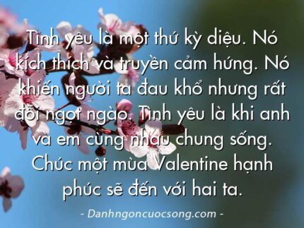 Tình yêu là một thứ kỳ diệu. Nó kích thích và truyền cảm hứng. Nó khiến người ta đau khổ nhưng rất đỗi ngọt ngào. Tình yêu là khi anh và em cùng nhau chung sống. Chúc một mùa Valentine hạnh phúc sẽ đến với hai ta.