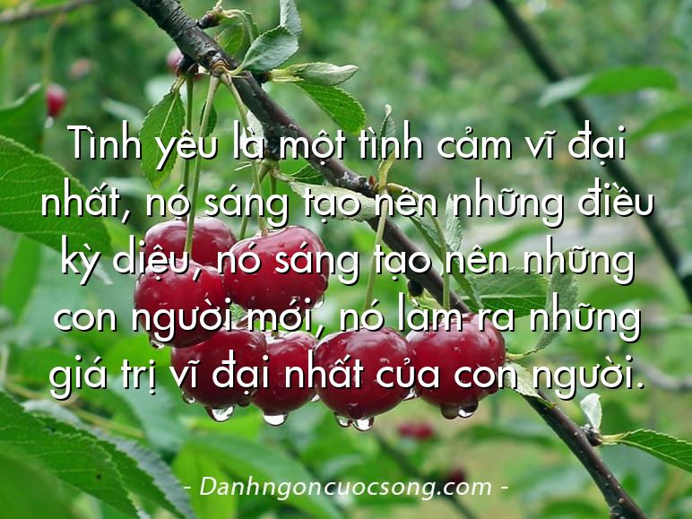 Tình yêu là một tình cảm vĩ đại nhất, nó sáng tạo nên những điều kỳ diệu, nó sáng tạo nên những con người mới, nó làm ra những giá trị vĩ đại nhất của con người.
