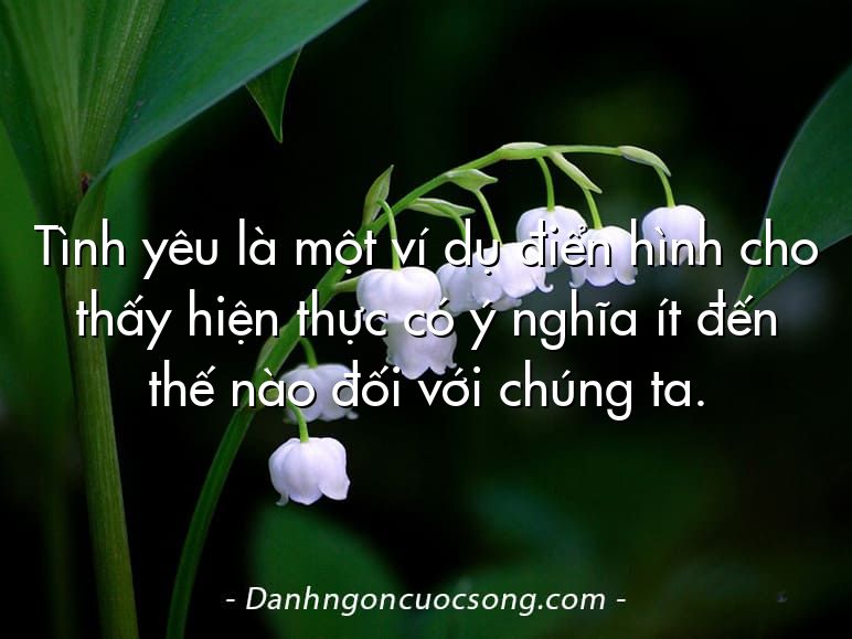 Tình yêu là một ví dụ điển hình cho thấy hiện thực có ý nghĩa ít đến thế nào đối với chúng ta.