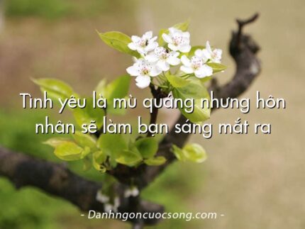 Tình yêu là mù quáng nhưng hôn nhân sẽ làm bạn sáng mắt ra