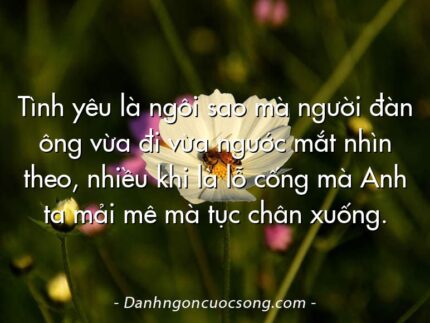 Tình yêu là ngôi sao mà người đàn ông vừa đi vừa ngước mắt nhìn theo, nhiều khi là lỗ cống mà Anh ta mải mê mà tục chân xuống.