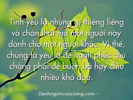 Tình yêu là những gì thiêng liêng và chân thật mà một người này dành cho một người khác. Vì thế, chúng ta yêu là để hạnh phúc chứ chẳng phải để buồn bã hay chịu nhiều khổ đau.