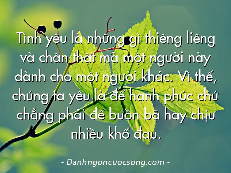 Tình yêu là những gì thiêng liêng và chân thật mà một người này dành cho một người khác. Vì thế, chúng ta yêu là để hạnh phúc chứ chẳng phải để buồn bã hay chịu nhiều khổ đau.