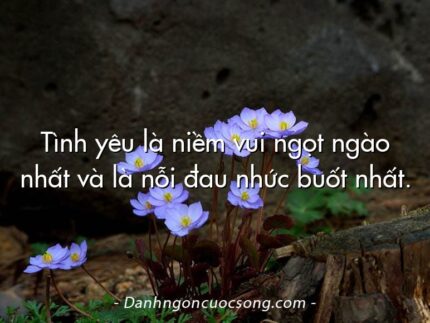 Tình yêu là niềm vui ngọt ngào nhất và là nỗi đau nhức buốt nhất.