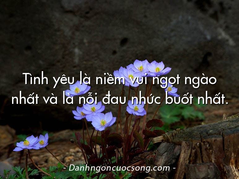 Tình yêu là niềm vui ngọt ngào nhất và là nỗi đau nhức buốt nhất.