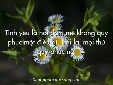 Tình yêu là nỗi đam mê không quy phục một điều gì, trái lại mọi thứ quy phục nó.