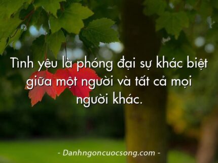 Tình yêu là phóng đại sự khác biệt giữa một người và tất cả mọi người khác.