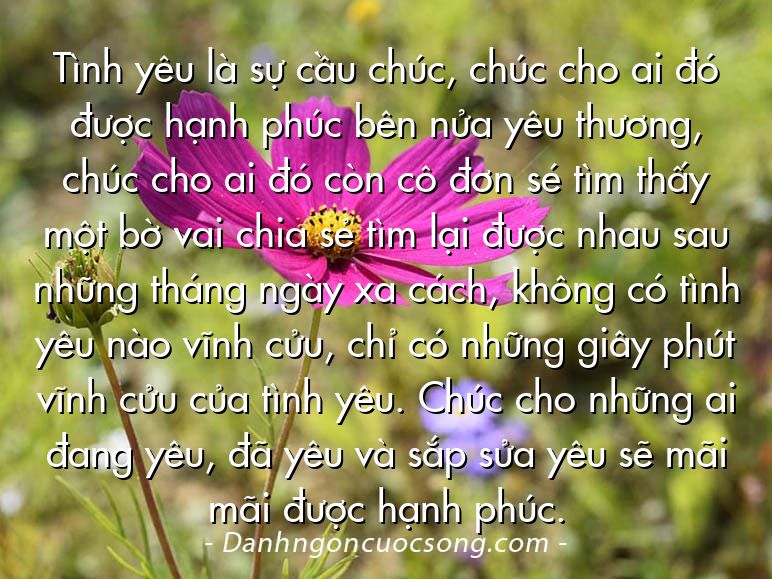 Tình yêu là sự cầu chúc, chúc cho ai đó được hạnh phúc bên nửa yêu thương, chúc cho ai đó còn cô đơn sé tìm thấy một bờ vai chia sẻ tìm lại được nhau sau những tháng ngày xa cách, không có tình yêu nào vĩnh cửu, chỉ có những giây phút vĩnh cửu của tình yêu. Chúc cho những ai đang yêu, đã yêu và sắp sửa yêu sẽ mãi mãi được hạnh phúc.
