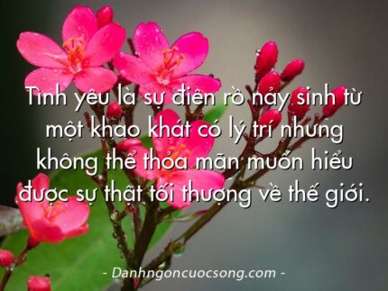 Tình yêu là sự điên rồ nảy sinh từ một khao khát có lý trí nhưng không thể thỏa mãn muốn hiểu được sự thật tối thượng về thế giới.