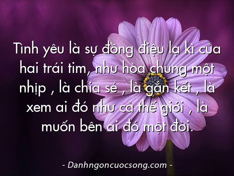 Tình yêu là sự đồng điệu lạ kì của hai trái tim, như hòa chung một nhịp , là chia sẻ , là gắn kết , là xem ai đó như cả thế giới , là muốn bên ai đó một đời.
