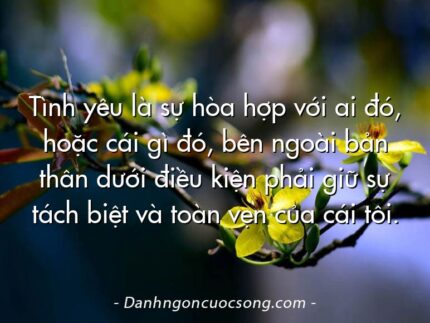 Tình yêu là sự hòa hợp với ai đó, hoặc cái gì đó, bên ngoài bản thân dưới điều kiện phải giữ sự tách biệt và toàn vẹn của cái tôi.