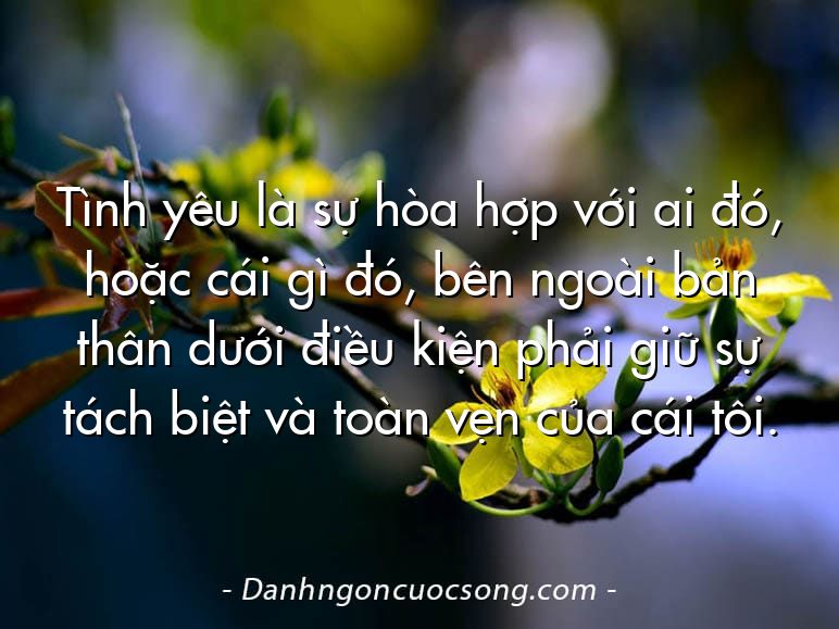 Tình yêu là sự hòa hợp với ai đó, hoặc cái gì đó, bên ngoài bản thân dưới điều kiện phải giữ sự tách biệt và toàn vẹn của cái tôi.