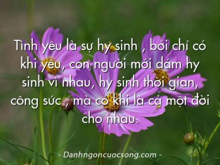 Tình yêu là sự hy sinh , bởi chỉ có khi yêu, con người mới dám hy sinh vì nhau, hy sinh thời gian, công sức , mà có khi là cả một đời cho nhau.