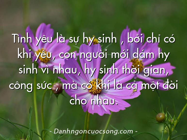 Tình yêu là sự hy sinh , bởi chỉ có khi yêu, con người mới dám hy sinh vì nhau, hy sinh thời gian, công sức , mà có khi là cả một đời cho nhau.