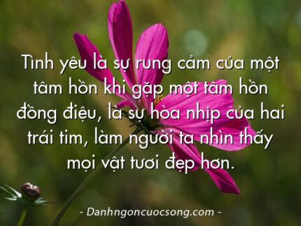 Tình yêu là sự rung cảm của một tâm hồn khi gặp một tâm hồn đồng điệu, là sự hòa nhịp của hai trái tim, làm người ta nhìn thấy mọi vật tươi đẹp hơn.