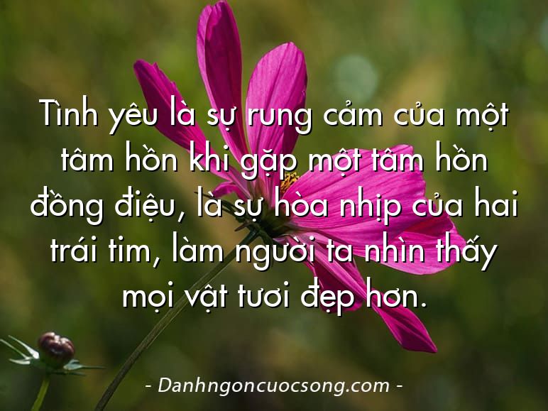 Tình yêu là sự rung cảm của một tâm hồn khi gặp một tâm hồn đồng điệu, là sự hòa nhịp của hai trái tim, làm người ta nhìn thấy mọi vật tươi đẹp hơn.