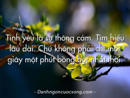 Tình yêu là sự thông cảm. Tìm hiểu lâu dài. Chứ không phải chỉ một giây một phút bồng bột nhất thời.