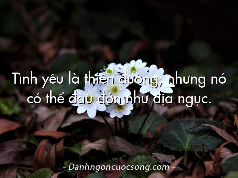Tình yêu là thiên đường, nhưng nó có thể đau đớn như địa ngục.