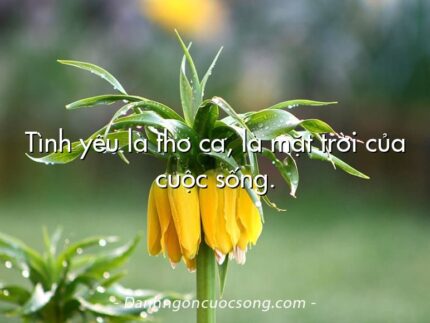 Tình yêu là thơ ca, là mặt trời của cuộc sống.