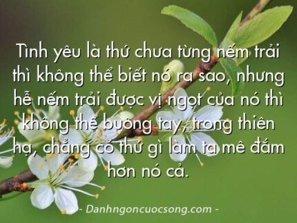 Tình yêu là thứ chưa từng nếm trải thì không thể biết nó ra sao, nhưng hễ nếm trải được vị ngọt của nó thì không thể buông tay, trong thiên hạ, chẳng có thứ gì làm ta mê đắm hơn nó cả.