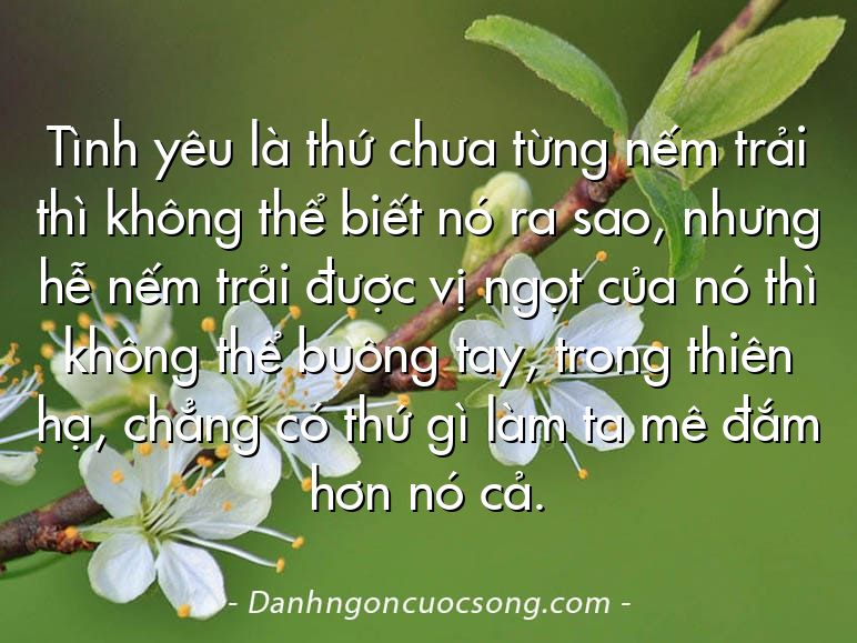 Tình yêu là thứ chưa từng nếm trải thì không thể biết nó ra sao, nhưng hễ nếm trải được vị ngọt của nó thì không thể buông tay, trong thiên hạ, chẳng có thứ gì làm ta mê đắm hơn nó cả.