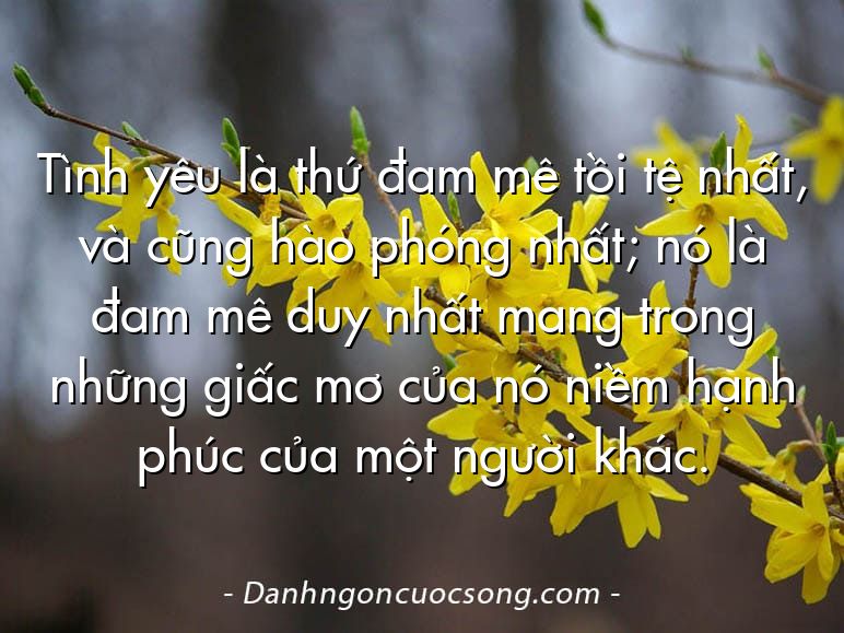 Tình yêu là thứ đam mê tồi tệ nhất, và cũng hào phóng nhất; nó là đam mê duy nhất mang trong những giấc mơ của nó niềm hạnh phúc của một người khác.