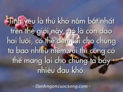 Tình yêu là thứ khó nắm bắt nhất trên thế giới này, nó là con dao hai lưỡi, có thể đem lại cho chúng ta bao nhiêu niềm vui thì cũng có thể mang lại cho chúng ta bấy nhiêu đau khổ.
