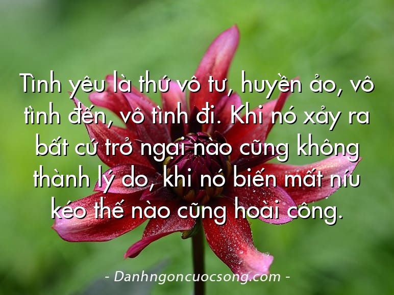 Tình yêu là thứ vô tư, huyền ảo, vô tình đến, vô tình đi. Khi nó xảy ra bất cứ trở ngại nào cũng không thành lý do, khi nó biến mất níu kéo thế nào cũng hoài công.