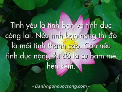 Tình yêu là tình bạn và tình dục cộng lại. Nếu tình bạn nặng thì đó là mối tình thanh cao. Còn nếu tình dục nặng thì đó là sự ham mê hèn kém.