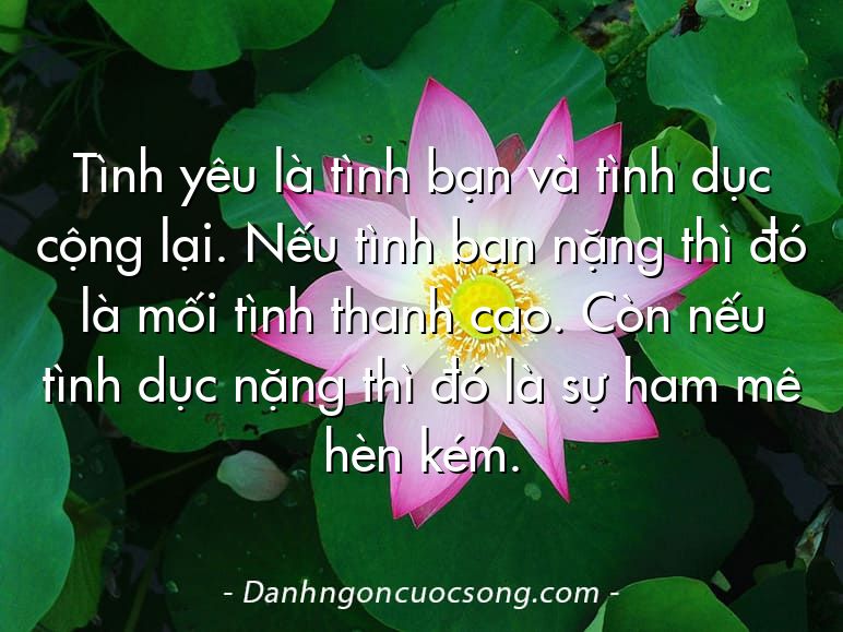 Tình yêu là tình bạn và tình dục cộng lại. Nếu tình bạn nặng thì đó là mối tình thanh cao. Còn nếu tình dục nặng thì đó là sự ham mê hèn kém.